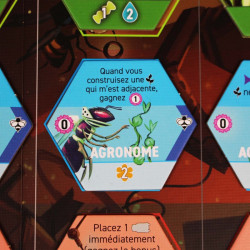 Apiary - Stonemaier Games - Board game | IPA Gameshop