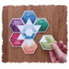 Ecosfera - JULIBERT - Board game | IPA Gameshop