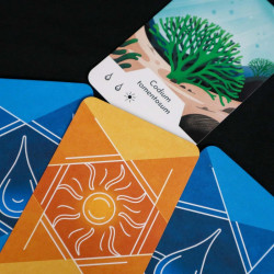 Ecosfera - JULIBERT - Board game | IPA Gameshop