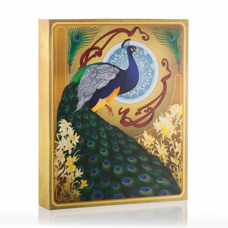 Words of a Feather - Turn Sideways Games - Board game | IPA Gameshop