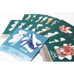 Food Chain Island - Button Shy - Board game | IPA Gameshop EU