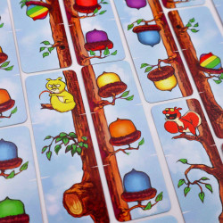 NUT - Perplext - Board game | IPA Gameshop