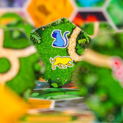 Tucana Builders - Dinged