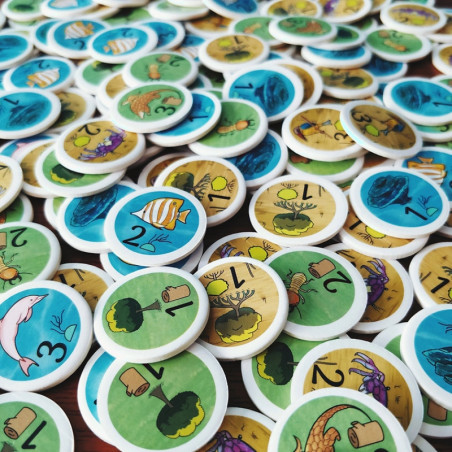 Rainforest City - ORIGAME STUDIO - Board game | IPA Gameshop