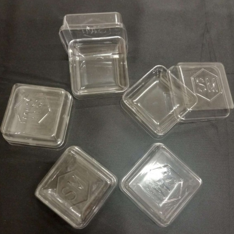 WINGSPAN - storage box