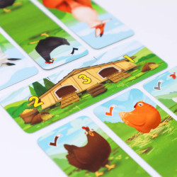 SLY - Perplext - Jeu de société | IPA Gameshop