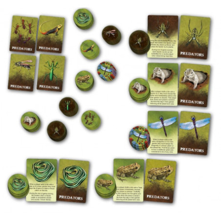 Papillon: Beyond the Meadow - KOLOSSAL GAMES - Board game | IPA Gameshop