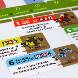WIN - Perplext - Jeu de société | IPA Gameshop EU