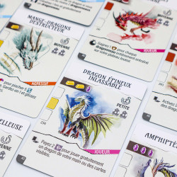 Wyrmspan: Dragon Academy - MATAGOT - Board game | IPA Gameshop EU