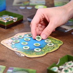 Nature - North Star Games - Board game | IPA Gameshop EU