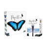 Papillon (Crowdfunding Garden Pledge) - KOLOSSAL GAMES - Board game | IPA Gameshop
